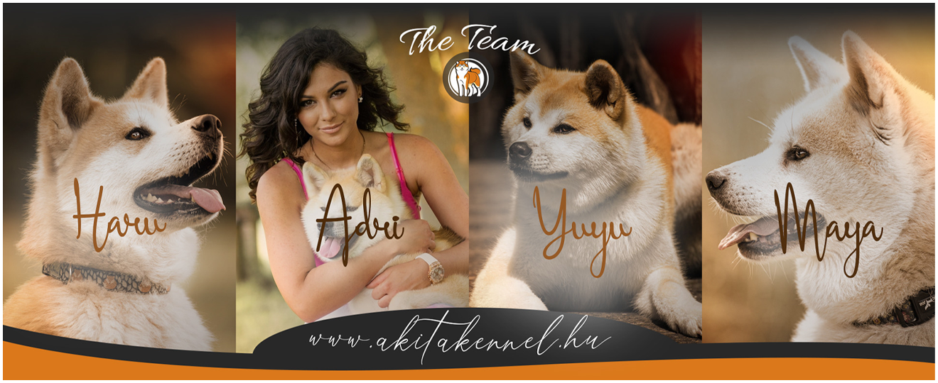 adri-dogs