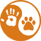 icon-akita
