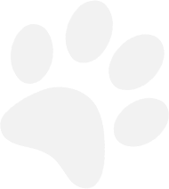 tappancs