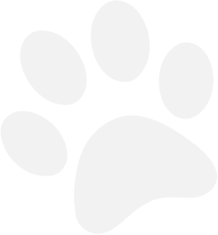 tappancs